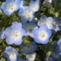 シンプルライフ ライフスタイル 人気ブログランキング