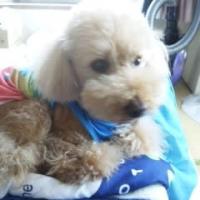 433位のイメージ