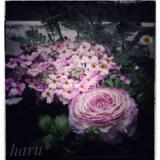 64位のイメージ