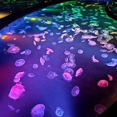 15位のイメージ