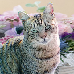 20位のイメージ