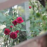 149位のイメージ