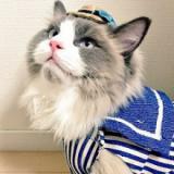 191位のイメージ