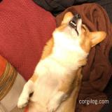 12位のイメージ