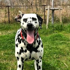 553位のイメージ