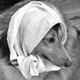 130位のイメージ