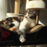 38位のイメージ