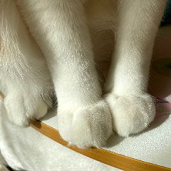 118位のイメージ