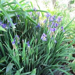 96位のイメージ