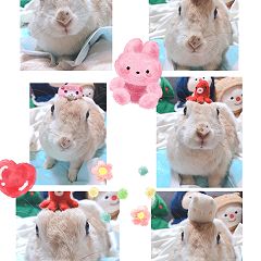 13位のイメージ