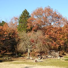 75位のイメージ