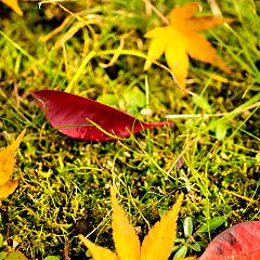 1267位のイメージ