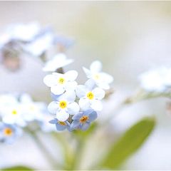 2318位のイメージ