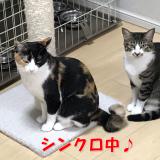 12位のイメージ