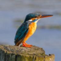 128位のイメージ