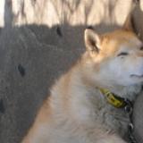 110位のイメージ