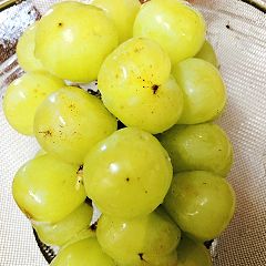 48位のイメージ