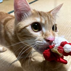 125位のイメージ