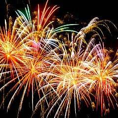 206位のイメージ