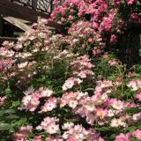 33位のイメージ