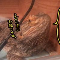 113位のイメージ