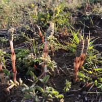 101位のイメージ