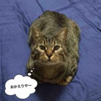 27位のイメージ