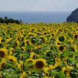 14位のイメージ