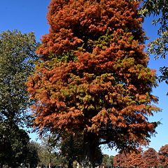 29位のイメージ