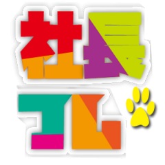 15位のイメージ