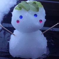 629位のイメージ