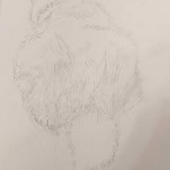 141位のイメージ