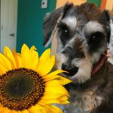 10位のイメージ