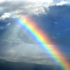 2355位のイメージ