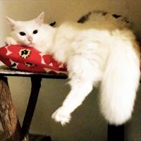 25位のイメージ