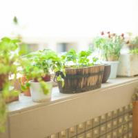 11位のイメージ