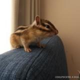 92位のイメージ