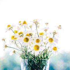 24位のイメージ