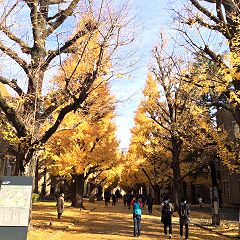 20位のイメージ