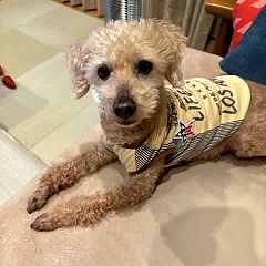 133位のイメージ