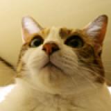 29位のイメージ