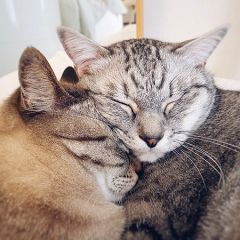 1212位のイメージ