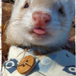 680位のイメージ