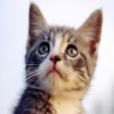 24位のイメージ