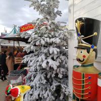 29位のイメージ