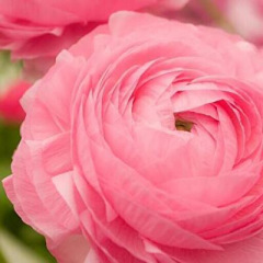 15位のイメージ