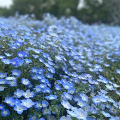 94位のイメージ