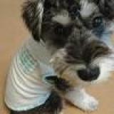 39位のイメージ