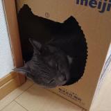 159位のイメージ