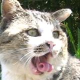 104位のイメージ